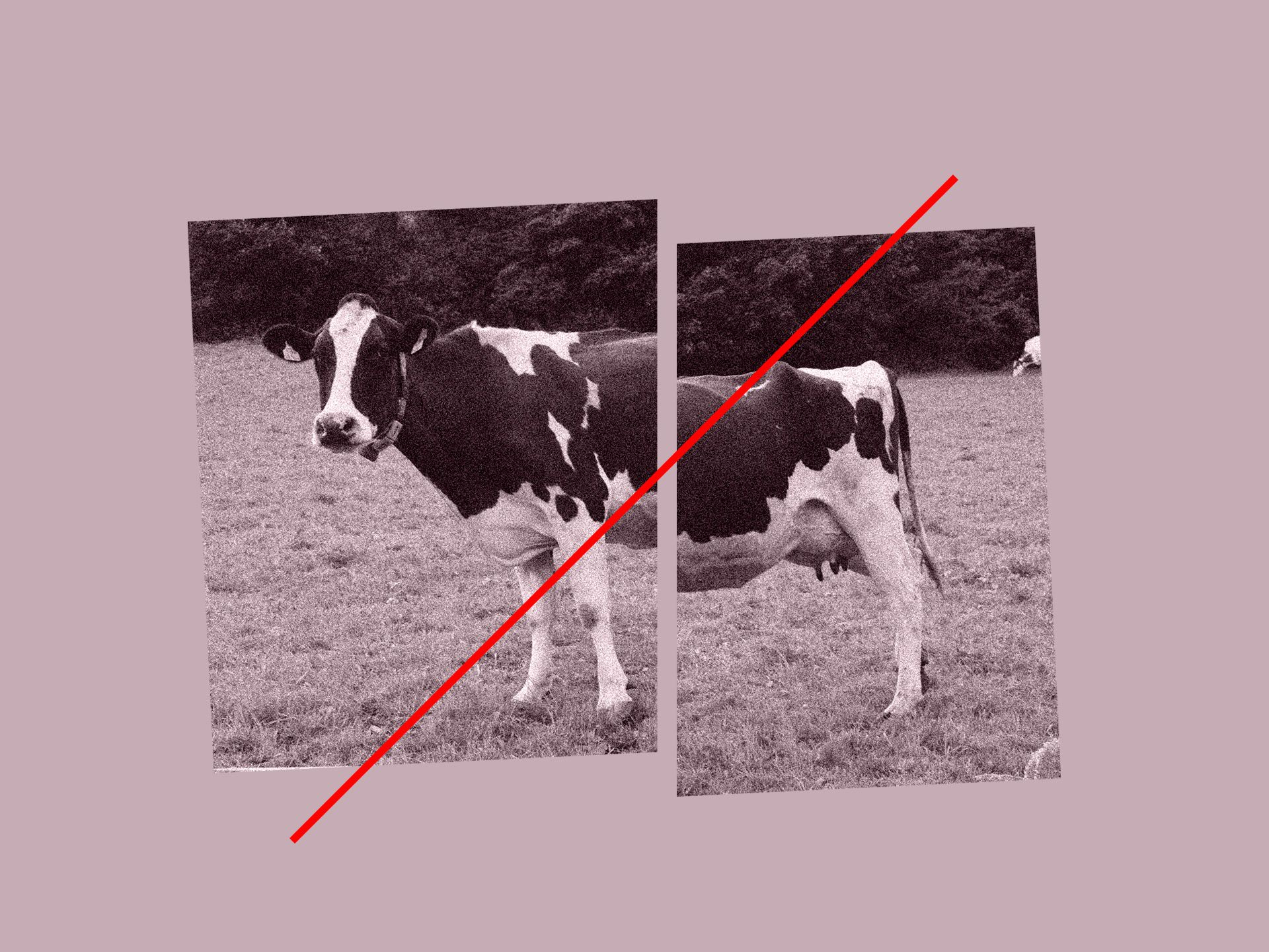 Guerrilla Health: Part II
